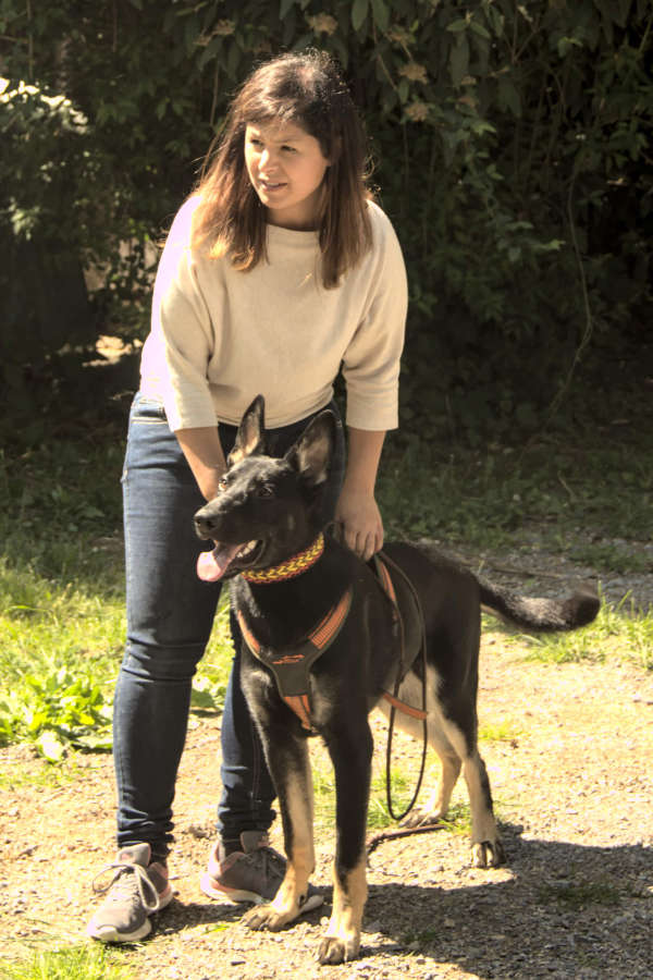 Aylin Notzon Hundetrainer Titelbild Problemtherapie