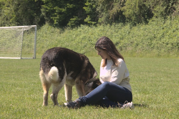 Training Start mit deinem Hund