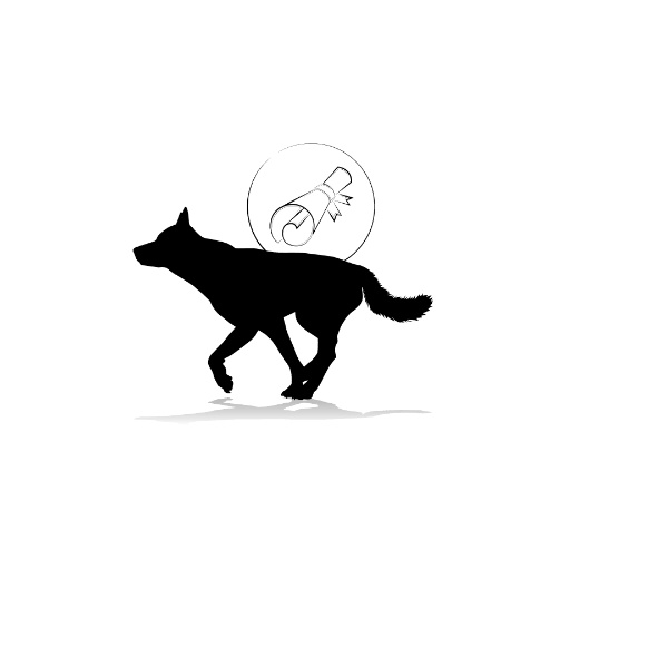 HSS Modell Hundezentrum