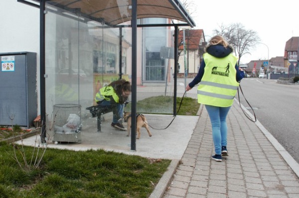 Mantrailing Hundezentrum HSS Erziehung Alltagstauglichkeit Hund. Mantrailing