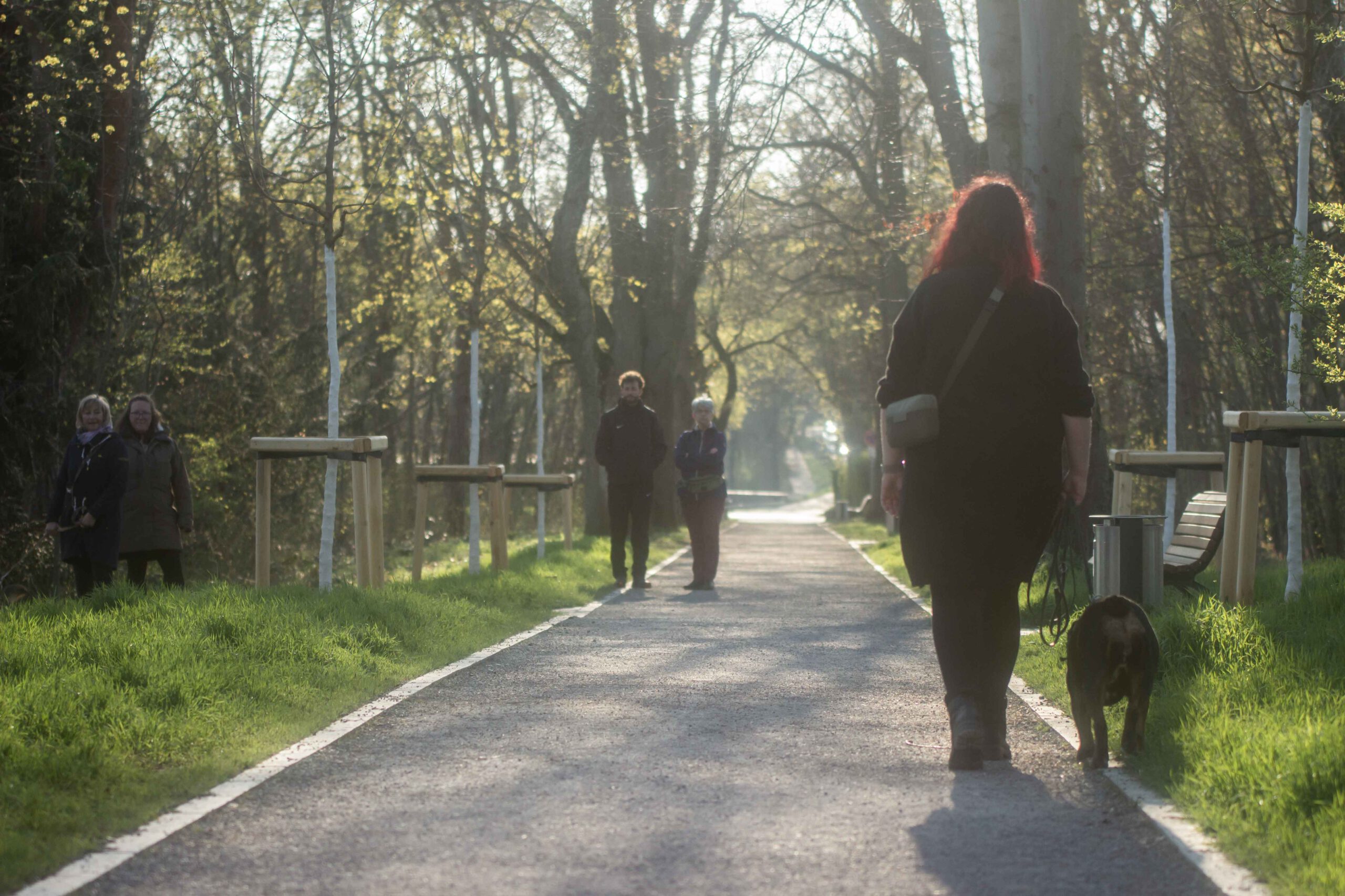 Alltagstraining für deinen Hund ohne Hundeplatzeffekt!