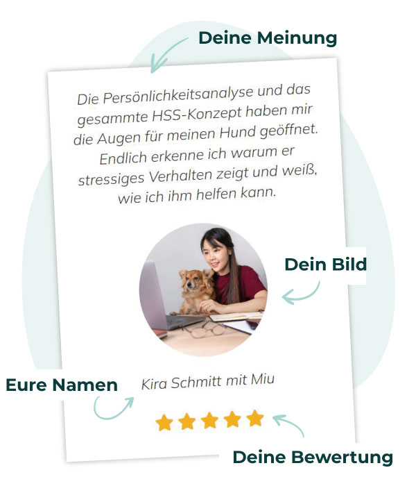 Kundenstimme-Beispiel
